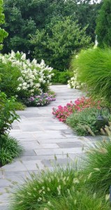 Garden Pathway