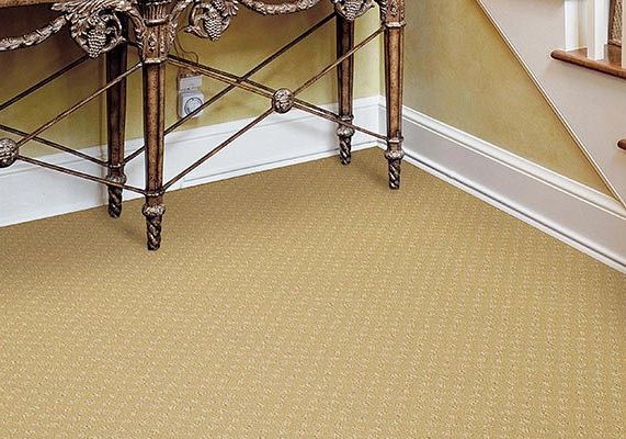 Polyester or Nylon Carpet? Which is right for you?